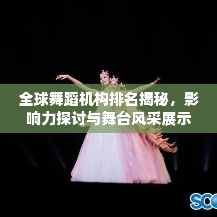 张皇铺饰 第3页