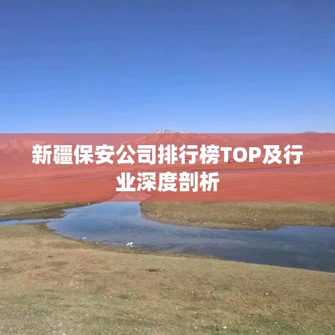 新疆保安公司排行榜TOP及行业深度剖析