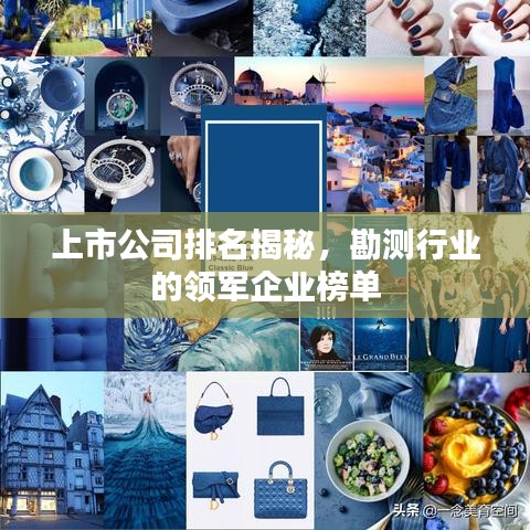 上市公司排名揭秘,勘测行业的领军企业榜单