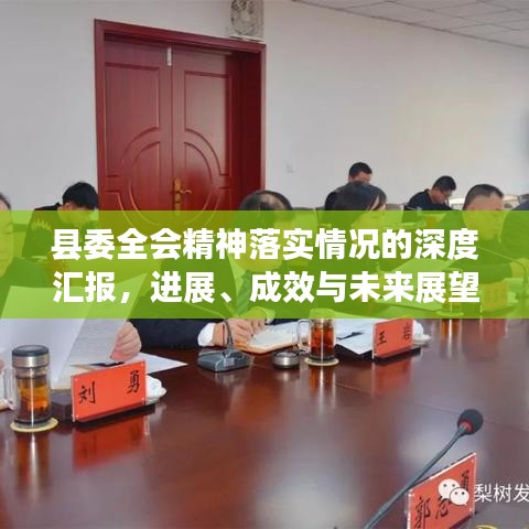 县委全会精神落实情况的深度汇报,进展、成效与未来展望