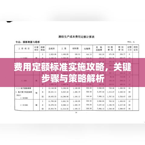 费用定额标准实施攻略,关键步骤与策略解析