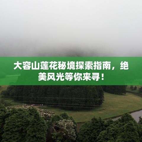 大容山莲花秘境探索指南,绝美风光等你来寻!