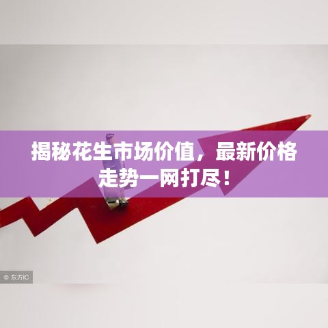 揭秘花生市场价值,最新价格走势一网打尽!