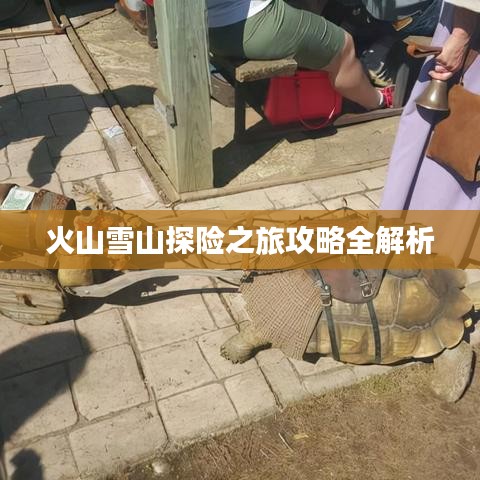 火山雪山探险之旅攻略全解析