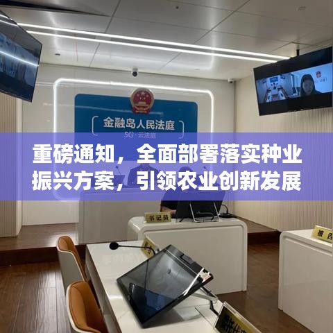 重磅通知,全面部署落实种业振兴方案,引领农业创新发展新篇章