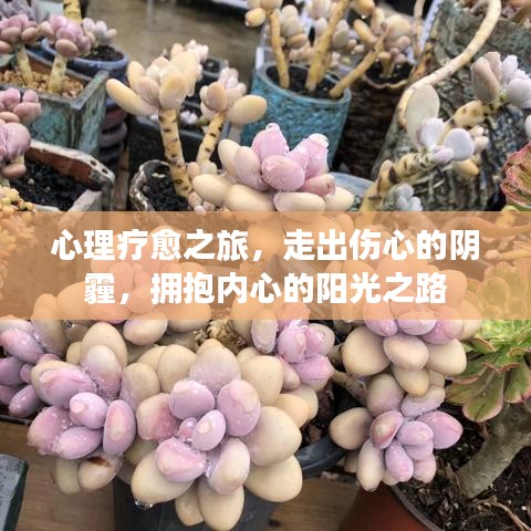 美轮美奂 第3页