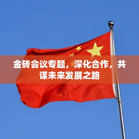 金砖会议专题，深化合作，共谋未来发展之路