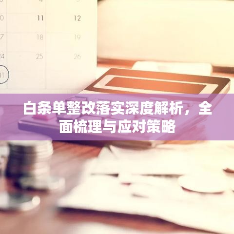 白条单整改落实深度解析，全面梳理与应对策略