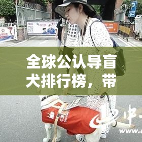 全球公认导盲犬排行榜,带你了解最信赖的盲犬品种!