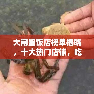 大闸蟹饭店榜单揭晓，十大热门店铺，吃货必知！