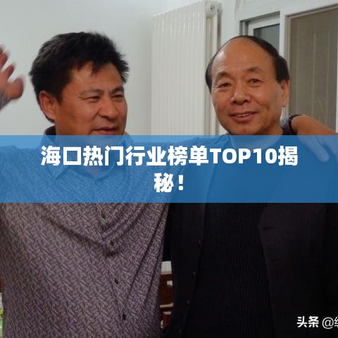 海口热门行业榜单TOP10揭秘!