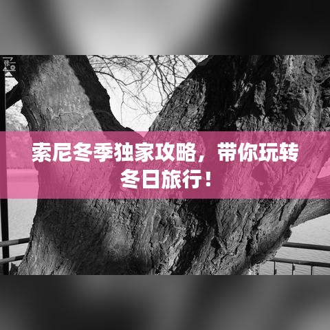 索尼冬季独家攻略,带你玩转冬日旅行!