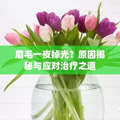 眉毛一夜掉光？原因揭秘与应对治疗之道