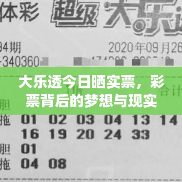 大乐透今日晒实票,彩票背后的梦想与现实揭秘