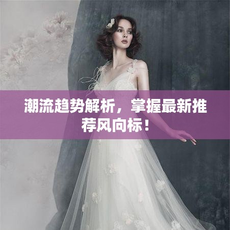 潮流趋势解析,掌握最新推荐风向标!