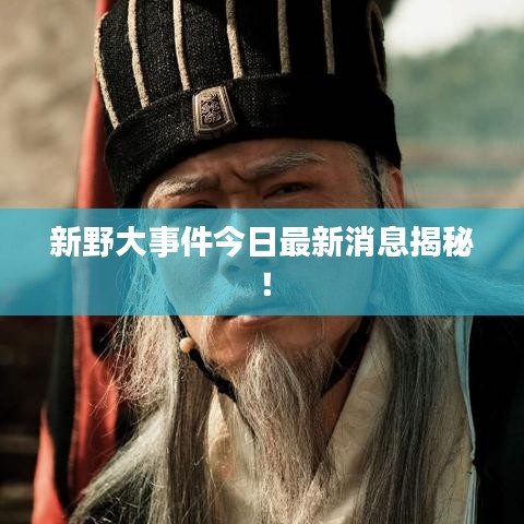 新野大事件今日最新消息揭秘！