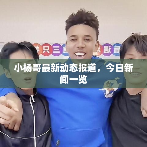小杨哥最新动态报道，今日新闻一览
