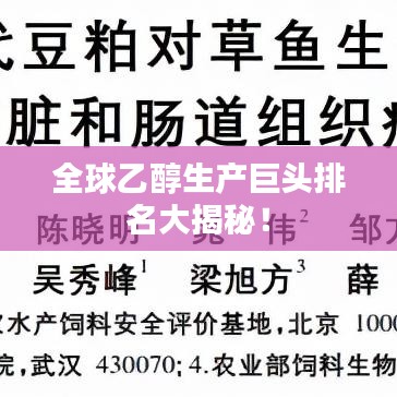 远山芙蓉 第3页