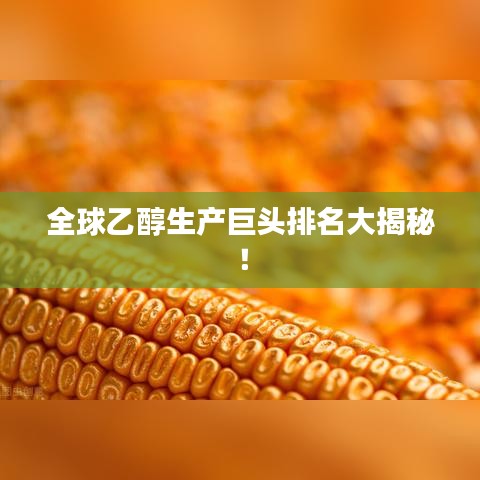 全球乙醇生产巨头排名大揭秘!