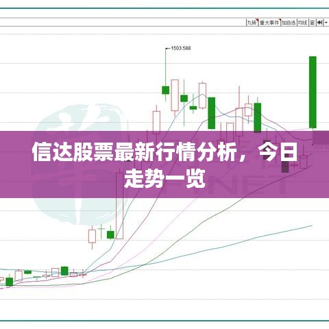 信达股票最新行情分析,今日走势一览