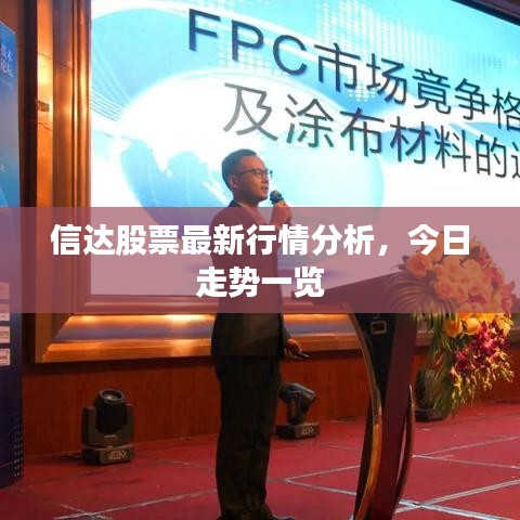 信达股票最新行情分析,今日走势一览