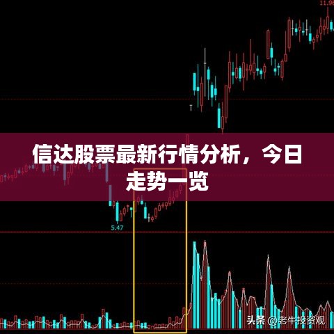 信达股票最新行情分析,今日走势一览