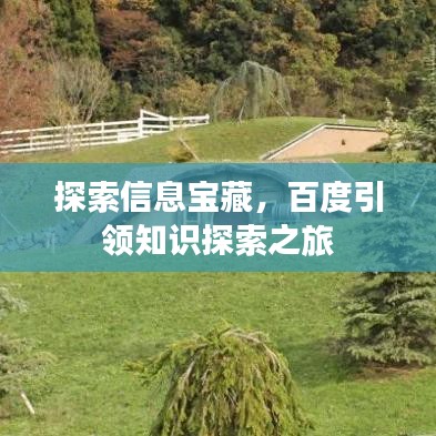 探索信息宝藏，百度引领知识探索之旅