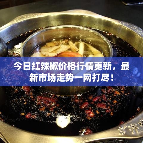 今日红辣椒价格行情更新,最新市场走势一网打尽!