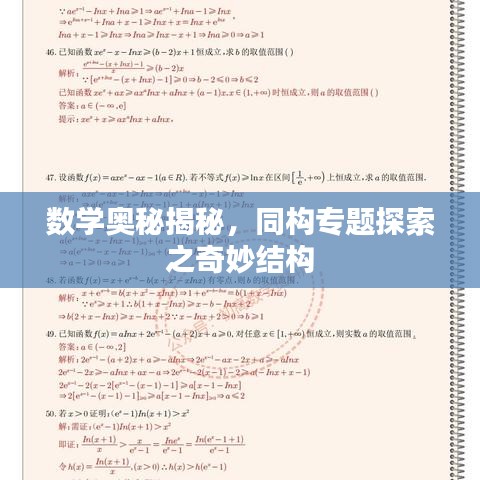 数学奥秘揭秘,同构专题探索之奇妙结构