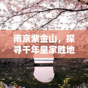 南京紫金山,探寻千年皇家胜地的魅力所在!
