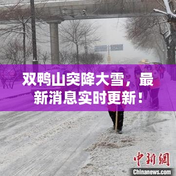 下马看花 第2页