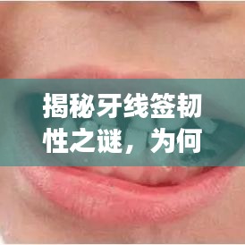 揭秘牙线签韧性之谜,为何强韧不断,表现卓越?