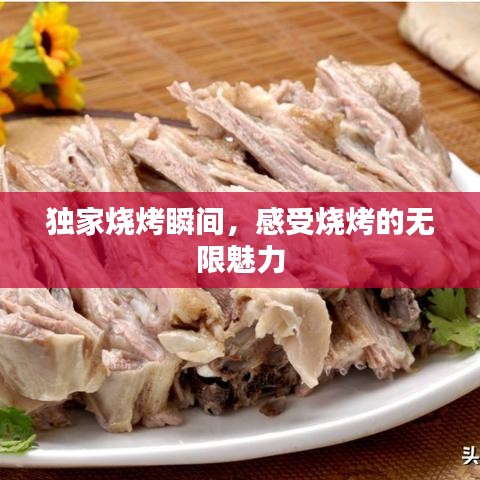 独家烧烤瞬间,感受烧烤的无限魅力