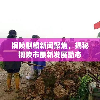 铜陵麒麟新闻聚焦,揭秘铜陵市最新发展动态