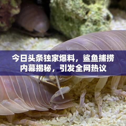 久别重逢 第3页