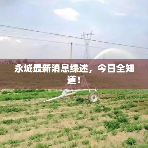 永城最新消息综述,今日全知道!