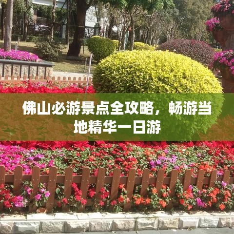 佛山必游景点全攻略，畅游当地精华一日游
