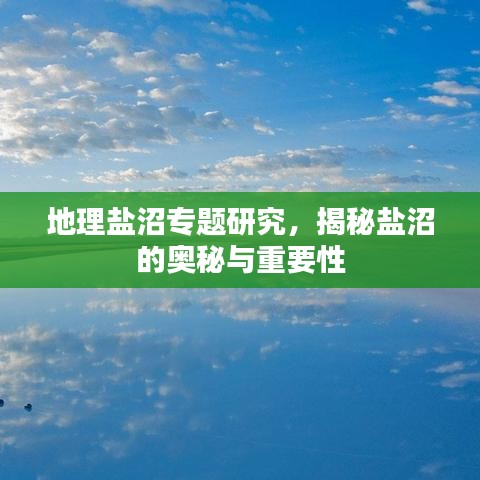 地理盐沼专题研究，揭秘盐沼的奥秘与重要性