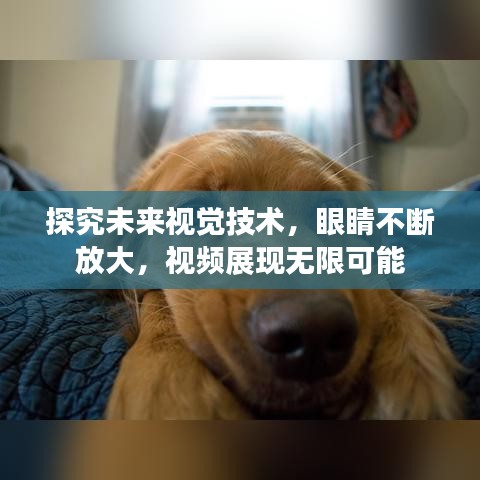 探究未来视觉技术,眼睛不断放大,视频展现无限可能