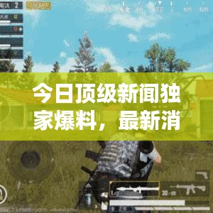 今日顶级新闻独家爆料，最新消息汇总