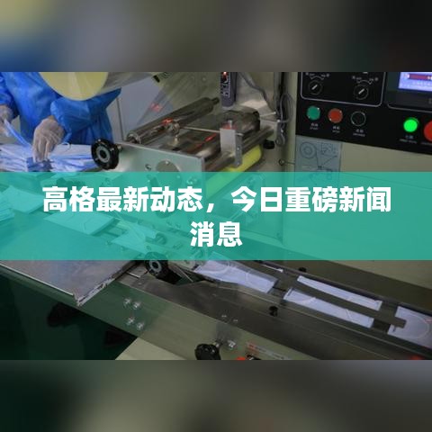 高格最新动态,今日重磅新闻消息