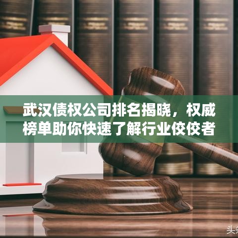 武汉债权公司排名揭晓,权威榜单助你快速了解行业佼佼者