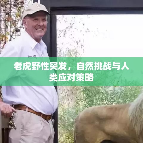 春蛙秋蝉 第3页