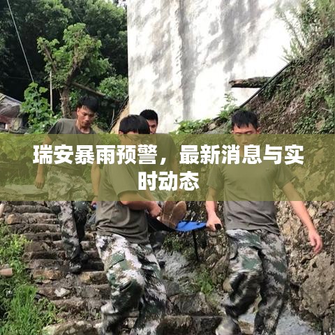 瑞安暴雨预警,最新消息与实时动态