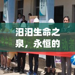 漫天飞舞 第3页