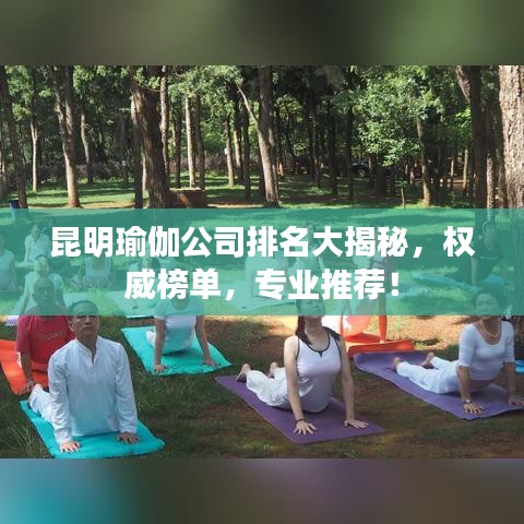 昆明瑜伽公司排名大揭秘,权威榜单,专业推荐!