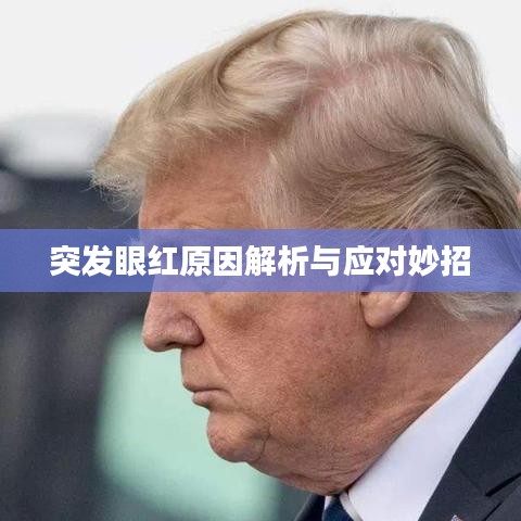 突发眼红原因解析与应对妙招