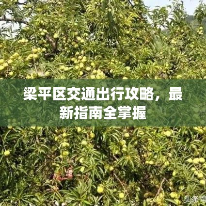 梁平区交通出行攻略,最新指南全掌握