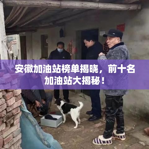 安徽加油站榜单揭晓,前十名加油站大揭秘!