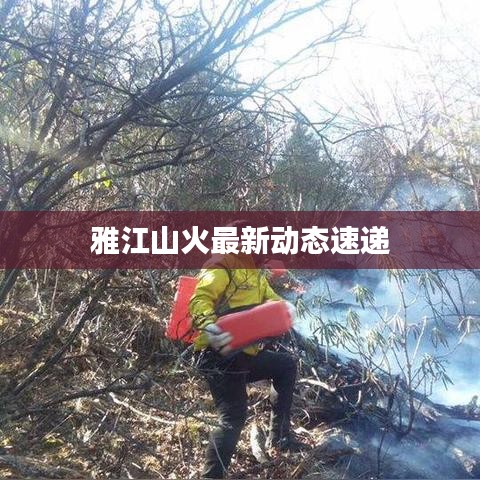 雅江山火最新动态速递